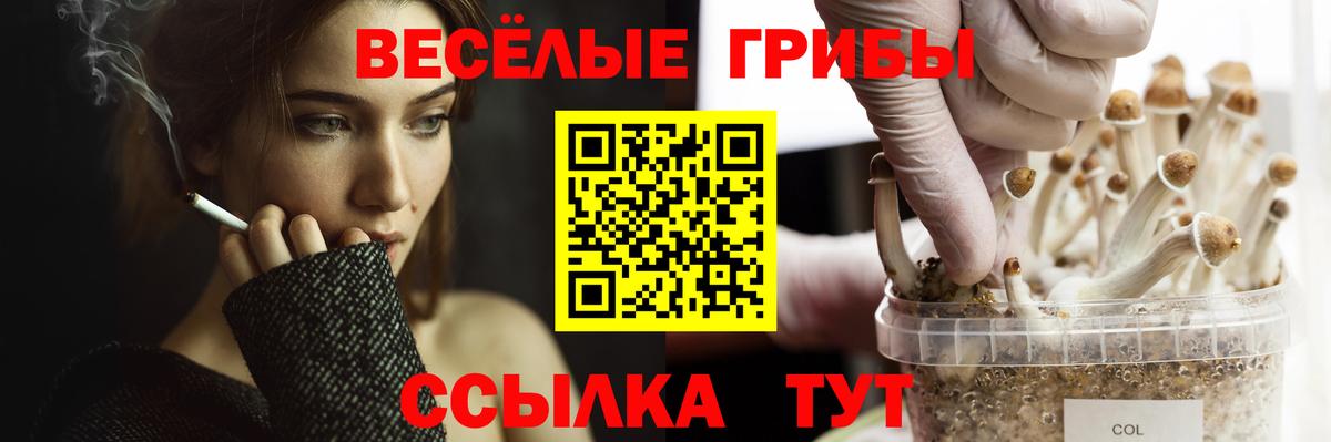 Куйбышев  Галлюциногенные грибы GOLDEN TEACHER  Вход с VPN 